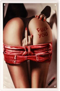 Targa in latta divertente 20x30 sexy ragazza con pantaloni caldi dito puzzolente + fuck you  - Foto 1 di 2