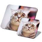 1 Placemat & 1 Coaster Set Funny Crazy Cat Kitten #52869