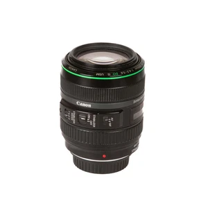 Canon EF 70-300mm f/4.5-5.6 DO IS USM - Bild 1 von 4