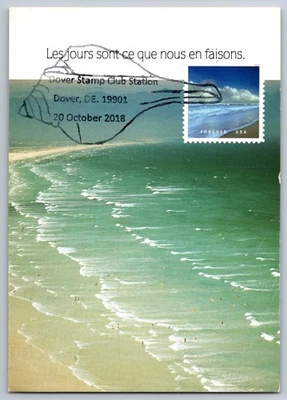 #5298s O Beautiful Canaveral National Seashore Maxi Card w/Pictorial Cancel - Image 1 of 2