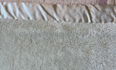 Simply Shabby Chic KING Size Blanket Green Satin Trim 2 Ply Plush 103"X83" - Image 1 of 4