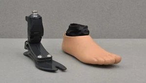 Ossur Pro-Flex Pivot Multi-Blade Prothesenfuß mit rechter Fußschale Größe 27 - Bild 1 von 18