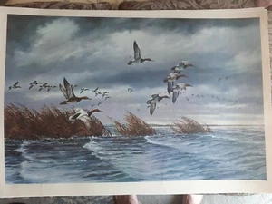 David Maass"CANVASBACKS" S/N LE Crossroads of Spirt 1966 28.5" X 20" - Picture 1 of 10