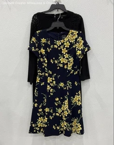 NWT Women's 10 Assorted Dresses Cynthia Steffe ETC.. (2) - Picture 1 of 4