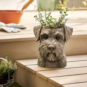 Neu Niedliches Design Wasserdichte Abdeckung Schnauzerkopf Pflanztopf Innen/Außen Dekor - Bild 1 von 2