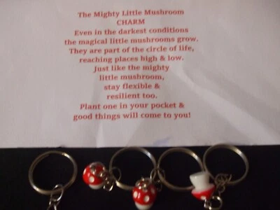 Llaveros de setas - Nuevos Foto 1 de 3