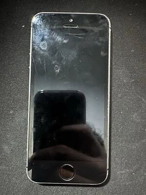 iPhone 5s 16 GB gris espacial Foto 1 de 3