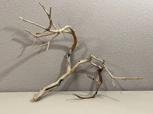 Manzanita Wood, Burnt Driftwood, Reptile Tank Decor, aquascape, Terrarium - Picture 1 of 6
