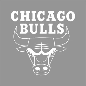 Chicago Bulls NBA Team Logo 1 Color Vinyl Decal Car Window Wall - Picture 1 of 7