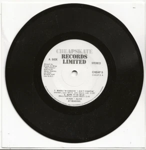 SLADE ALIVE AT READING 1980 3-TRACK VINYL SINGLE FROM UK - Picture 1 of 2