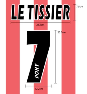 Southampton FC Home 1995-96 Flock Velvet Print - Picture 1 of 8