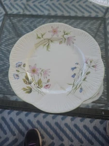 SHELLEY INGLATERRA ANÉMONA SILVESTRE 1) PLATO DE PAN Y MANTEQUILLA 13977 - Imagen 1 de 3