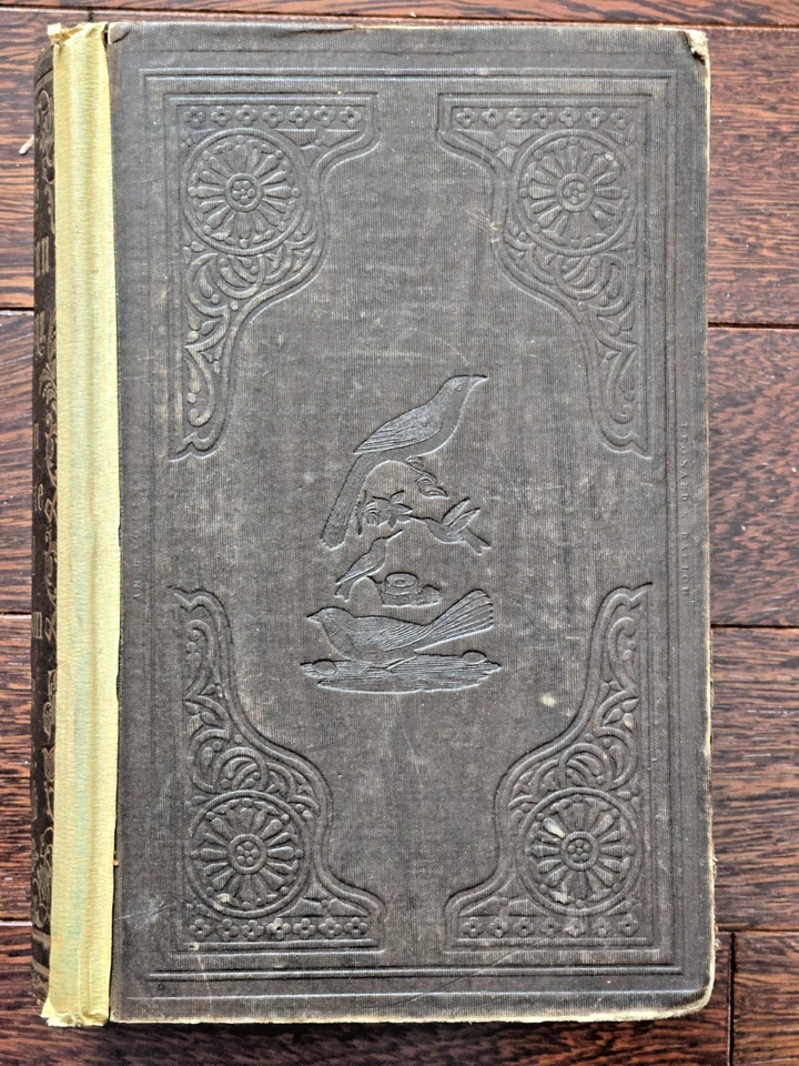 1853 Wilson’s American Ornithology Brewer Audubon Bonaparte Illustrated Birds Bo - Image 1 of 4
