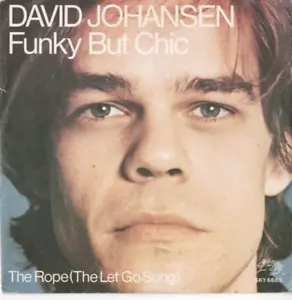 DAVID JOHANSEN Funky But Chic 7" DUTCH VINYL w/PS 70s R&B ROCK N ROLL NY Dolls - Foto 1 di 2