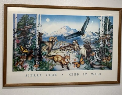 Lisa Chapman Vintage 1990er gerahmter Kunstdruck Sierra Club Keep It Wild - Bild 1 von 4