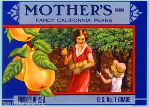California Mother's Day Pear Fruit Crate Label Art Print - Picture 1 of 1