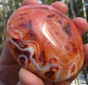 VIVID LACE CARNELIAN GORGEOUS BRILLIANT POLISHED CREATIVITY CRYSTAL PALMSTONE - Picture 1 of 10