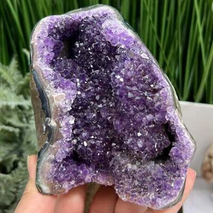 Amethyst Geode Cluster Cave Healing Natural Crystal 922g - Photo 1/8