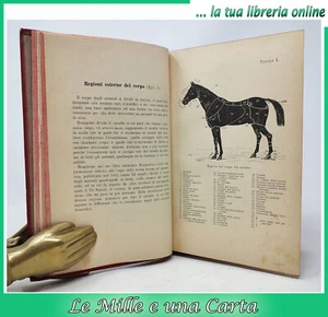 libro LA VALUTAZIONE FUNZIONALE E COMMERCIALE DEGLI ANIMALI DOMESTICI zootecnica - Bild 1 von 19