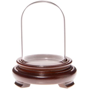Plymor 2" x 3" Mini Glass Display Dome Cloche (Walnut Wood Veneer Footed Base) - Picture 1 of 1