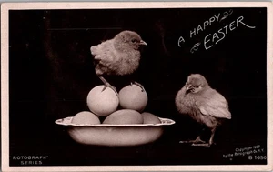 RPPC Rotograph Easter Chicks On Eggs In Bowl Bromide 1908 photo postcard JT15 - Picture 1 of 2