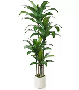 Kazeila Artificial Dracaena Plant 180cm Fake Tall Tree with White Pot New - Picture 1 of 7