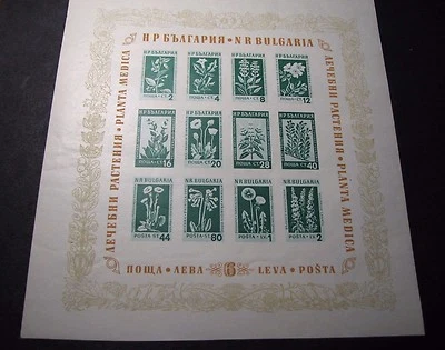Bulgaria  Souvenir Sheet Stamp Scott# 843a Flowers  MNH 1953 L91 - Image 1 of 2