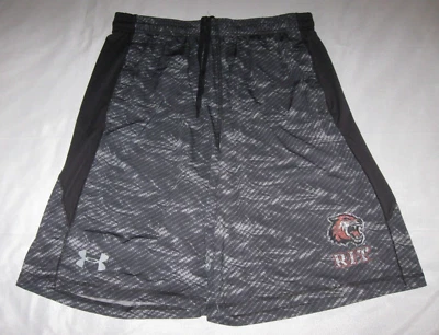 ROCHESTER INSTITUTE of Technology Tigers Shorts Men's Large New York RIT NCAA - Image 1 of 4