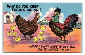 Postcard Why Do You Keep Egging Me On? Chicken Comic Humor C388 - Picture 1 of 2