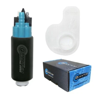 Citroen/Peugeot/Renault Nuevo Original Para Intank Efi Fuel Bomba & Filtro Kit - Imagen 1 de 4