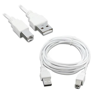 B2G1 Free 10FT USB 2.0 A to B HIGH SPEED PRINTER SCANNER CABLE CORD NEW - Picture 1 of 5