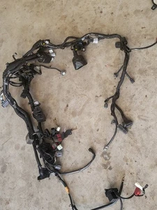2024 20-24 Kawasaki Ninja 1000 SX Main Engine Wiring Harness Wire Loom Nice - Foto 1 di 3