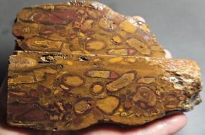 Boulder Opal Slabs Split Pair Yowah Conglomerate Matrix Lapidary 1815 Ct Rough - Picture 1 of 24