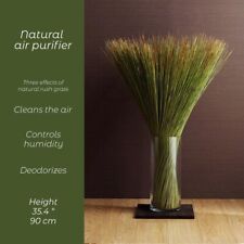 Tatami Grass – Deodorizing Room Decoration