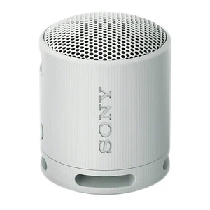 Sony SRS-XB100 Wireless Bluetooth Tragbarer Kompakt Reise Lautsprecher GRAU SRSXB100 - Bild 1 von 4