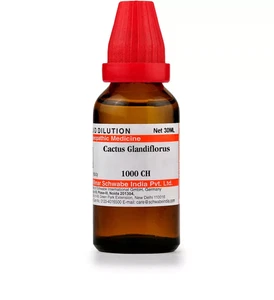 Willmar Schwabe India Homeopathic Cactus Glandiflorus Dilution 30ml - Picture 1 of 4