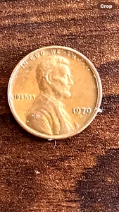 1970 D Penny with Floating Roof - Picture 1 of 4