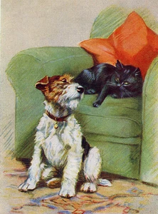 DRAHT FOX TERRIER CHARMANT HUNDE GRÜSSE NOTIZKARTE SCHWARZE KATZE IM STUHL - Bild 1 von 1