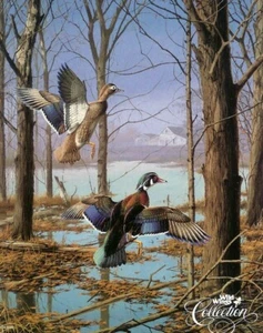 MISTY MORNING REVISITED - WOOD DUCKS - MAASS - LIMITED ART PRINT - RETAIL $175 - Picture 1 of 1