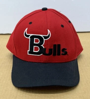 De colección Años 80 New Era Bajo Perfil Chicago Bulls Snap Back Sombrero Gorra Roja NBA RARO Foto 1 de 4
