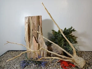 Driftwood aquarium fish & reptiles lg 15x19" spiderwood root decor - Picture 1 of 8