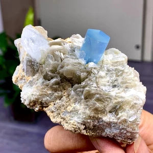 119G Selten!! Natürlicher schöner Aquamarin mit Glimmer Kristall Präparat grob - Bild 1 von 24