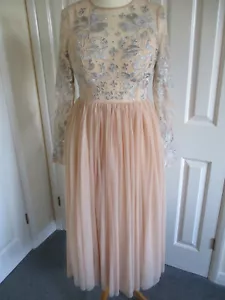 Beautiful Asos Nude, Silver Embroidered Occasion/ Bridesmaid Dress- Size UK10 - Picture 1 of 11