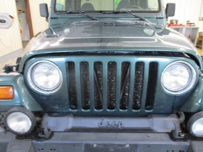 Jeep Wrangler 1999 Grille Front 55174594AG 3540 - Image 1 of 4