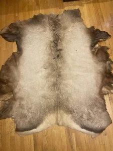 Full Elk Hide Rug - Picture 1 of 21