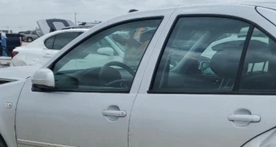 Airbag cortina techo conductor Volkswagen Jetta LH fabricante de equipos originales Foto 1 de 3