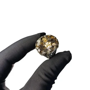 925 Sterling Silver PALLASITE meteorite Ring part slice Adjustable ring TB306 - Picture 1 of 7