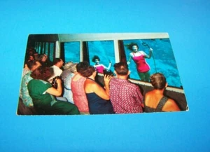 Postal vintage de teatro submarino Weeki Wachee Spring, Florida - Imagen 1 de 2