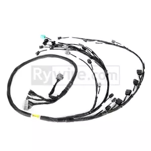 Rywire For RY-K24Z3-BASE Honda K24Z3 Tucked Engine Harness With OBD2 - Bild 1 von 1