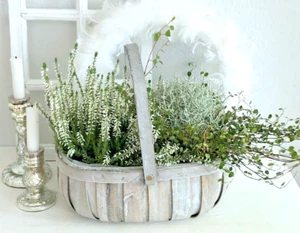 Großer Pflanzenkorb Korb mit Henkel, oval, Shabby Grau, Landhausgarten Deko, # L - Bild 1 von 3